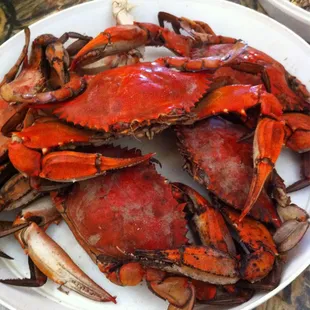 Boiled Crabs