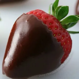 Umami T.