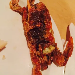Soft Shell Crab