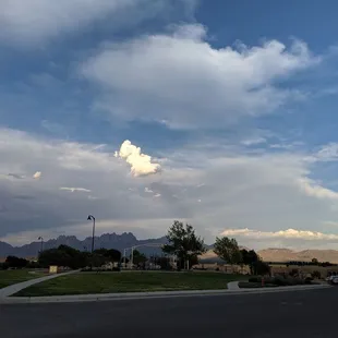 Cloud shape like a poodle.