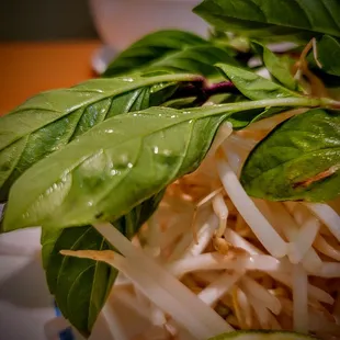 Sam Hut Restaurant Yucaipa Cal Pho Noodle Soup