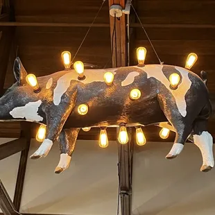 Heck of a light fixture