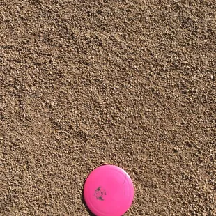 Typical gravel dirt in some parts of the course/park around the ball field. Not like the fine dirt at Santa Cruz.