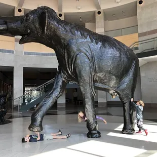 Can we bring him home?  Such a cute Mammoth!