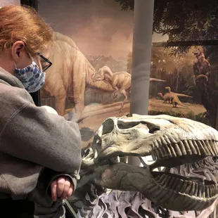 Close dino encounter