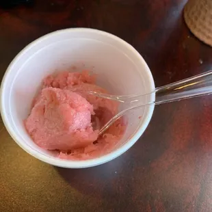 Wild Berry Sorbet