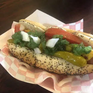 Authentic Chicago style all beef hotdog1
