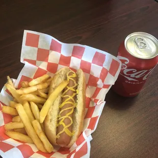 All beef hotdog and fries
