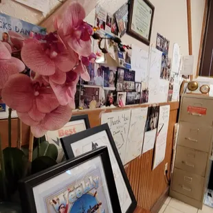 a picture of a flower in a picture frame