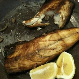 Grilled Mackerel