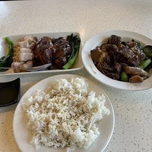 Roasted Duck Wanton Noodle