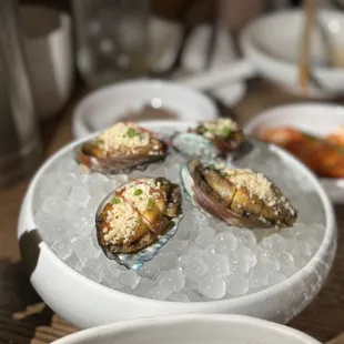 Abalone