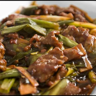 Mongolian Beef /