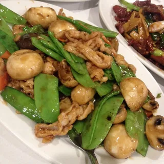 Double Mushroom Chicken /