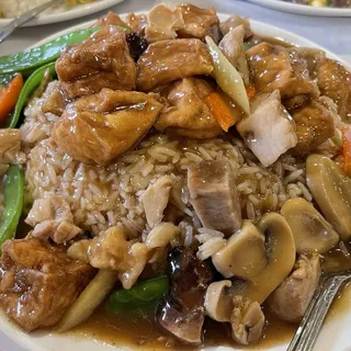 Roast Pork with Tofu on Rice /