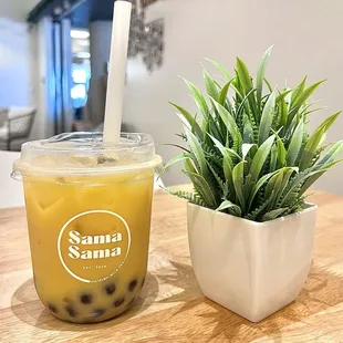 Sampaguita Milk Tea with Mango &amp; Boba 10/10