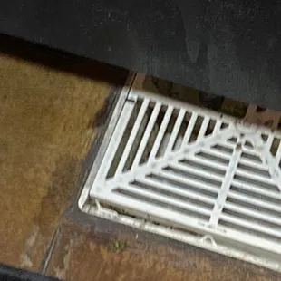 Bugs all over the place