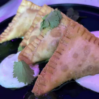 WONTON SAMOSAS (V)