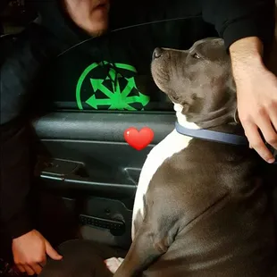 Anthony saying hello to a frequent visitor! Bella