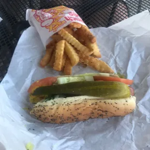 Chicago style hot dog and fries