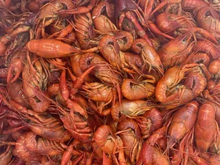 Mr Crawfish