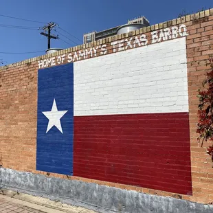 ows the texas flag painted on a brick wall