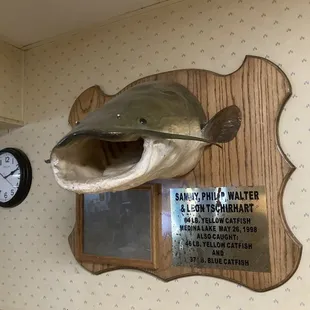 I think I've seen this guy in my dreams. And he says... "Go to Sammys... Get the pie."