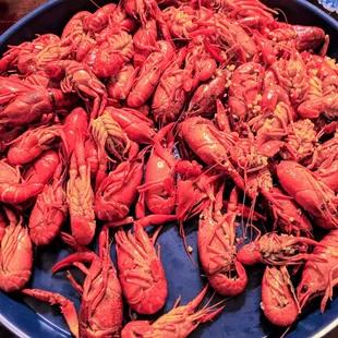 Crawfish
