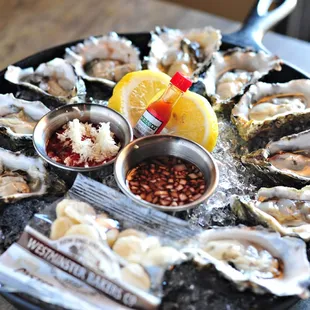 Oysters