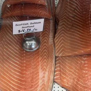 Salmon!