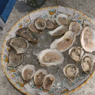 a plate of oysters