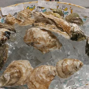 a plate of oysters on ice