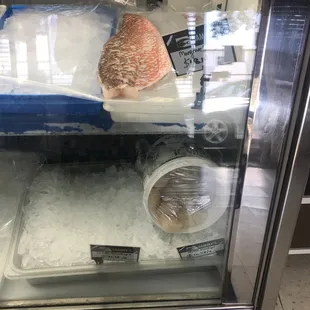 a fish in a display case
