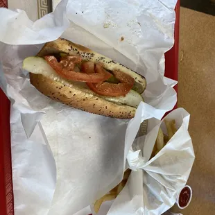 Chicago hot dog with fries