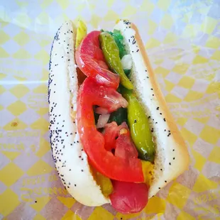 This is one very exquisite Chicago Dog. I love this place so much!  :D