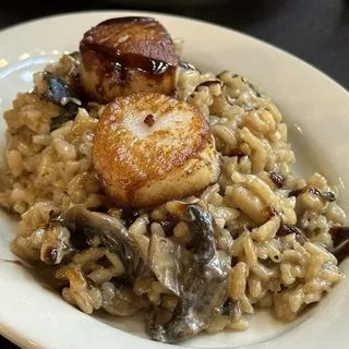 Scallops Risotto