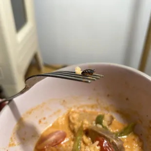 Roasted Duck Curry with an insect