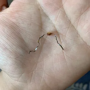 Maybe aluminum foil that was inside of the chicken in our general tso order? I'm not sure what it is.