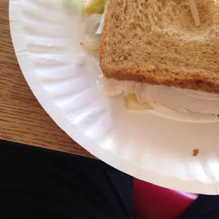 My bare handed no glove wearing built sandwhich on a paper plate.  NO THANKS.