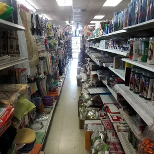 Despite being small they are organize