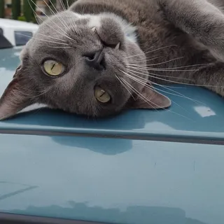 R W.