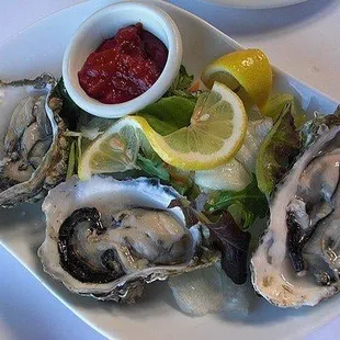 a plate of oysters