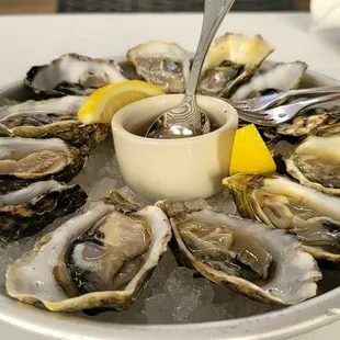 shellfish, oysters, mussels, food, oysters and mussels