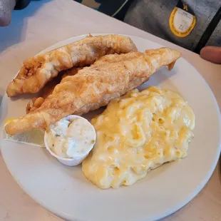 Fish and mac-n-cheese