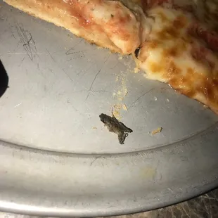 This was found in our pepperoni pizza. We got a new one made but it was half cooked and barely cut . Ppl are so rude