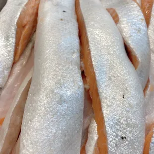 Fresh Salmon belly