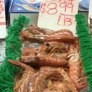 Very sweet ebi Vancouver, Canada