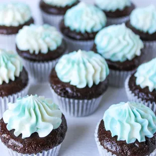 chocolate cupcakes with blue frosting