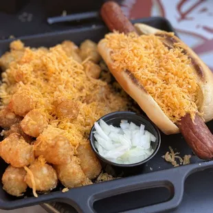Hot dog , side of tater tots
