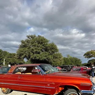 Low riders at the park today